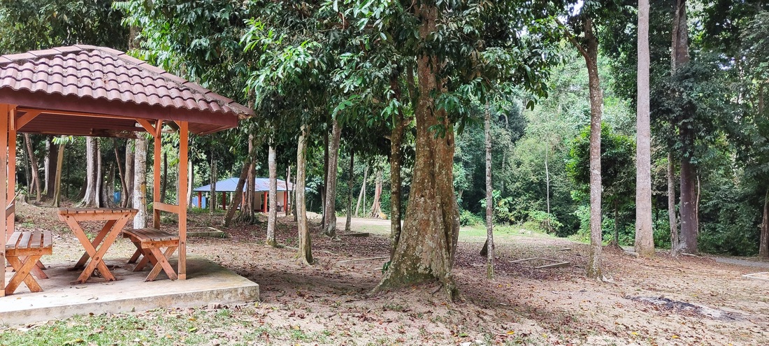 Taman Eko Rimba Bukit Batu Lebah