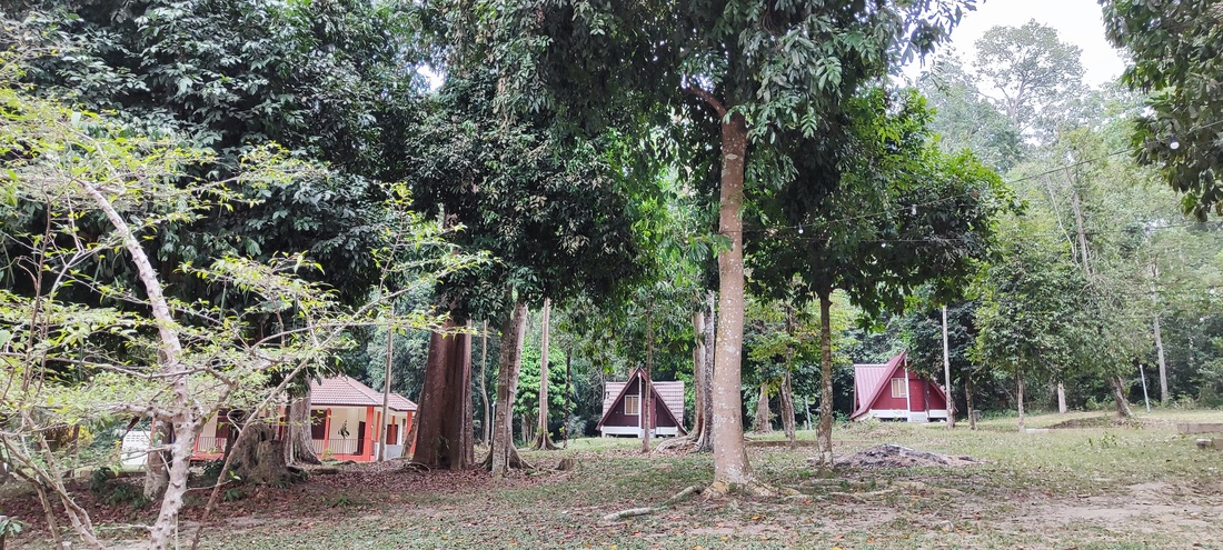 Taman Eko Rimba Bukit Batu Lebah photo 4