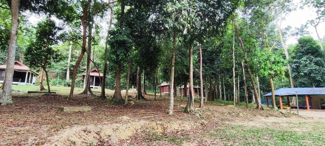 Taman Eko Rimba Bukit Batu Lebah photo 3